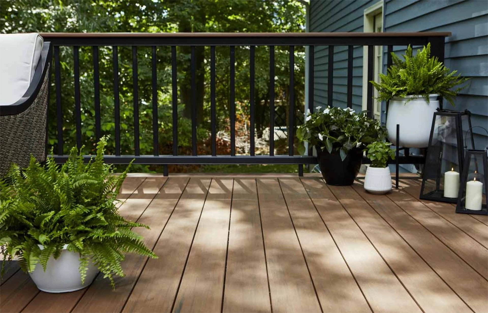 Mahogany woods vintage decking and beautiful plants and big trees