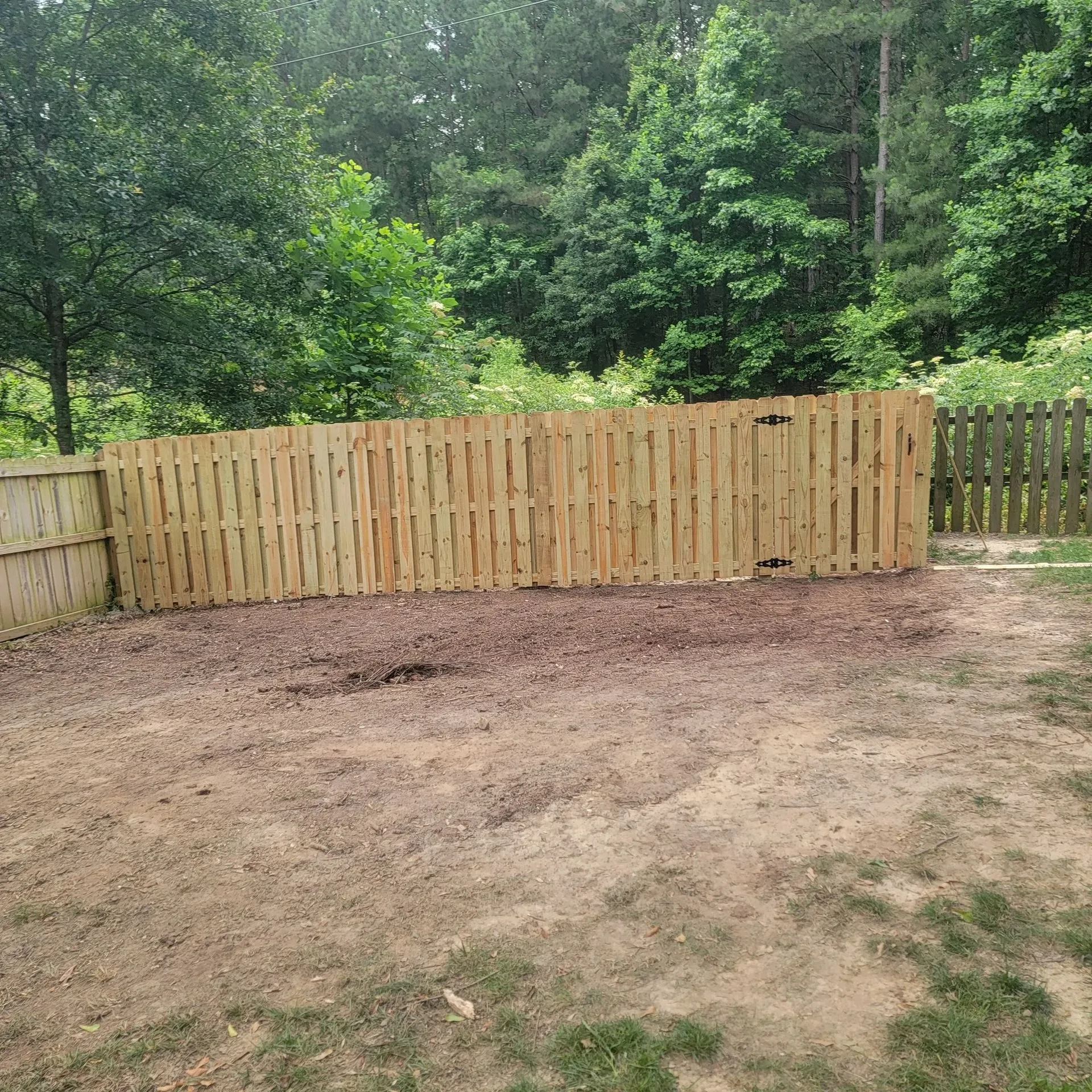 Wide new wooden fence with double gate in partially cleared backyard with forest view