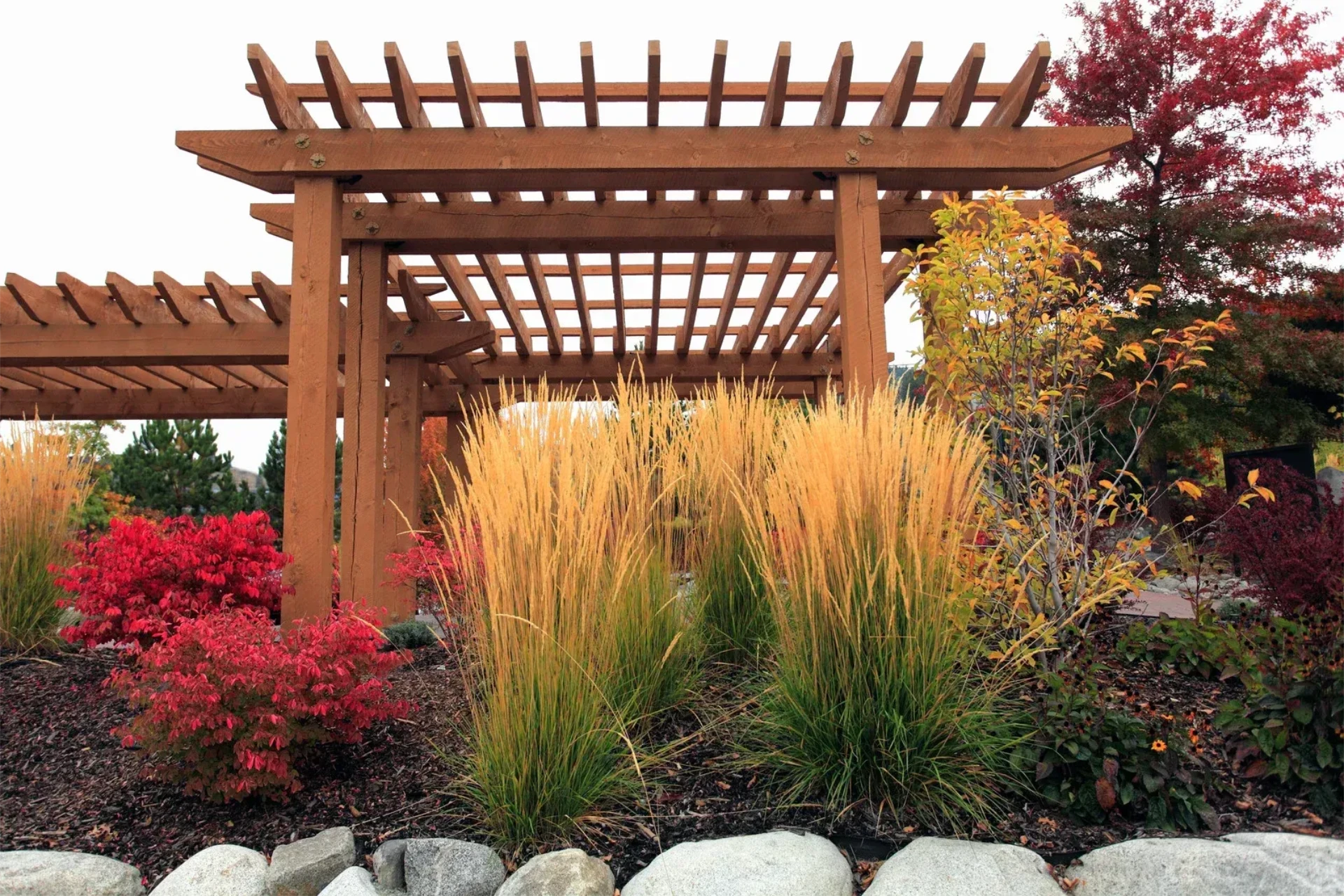 Wood pergola over landscaped garden path on the stones